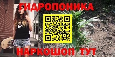 spice Нальчик