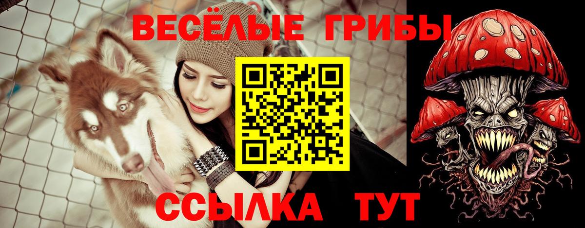 Галлюциногенные грибы Psilocybine cubensis Чебаркуль
